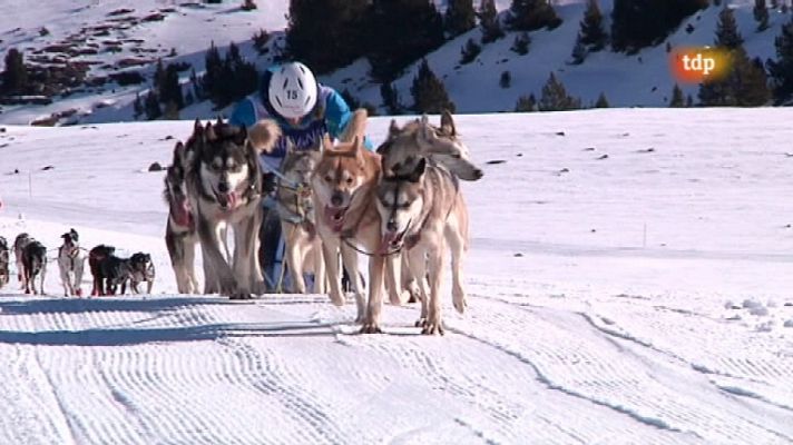 Pirena 2012 - Etapa 15