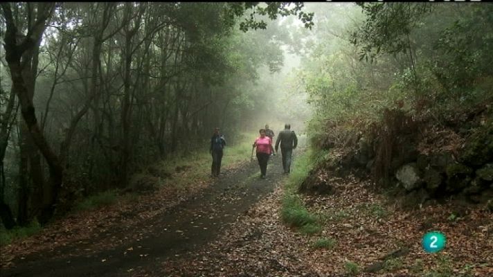Biodiario - Biodiario - 05/02/12