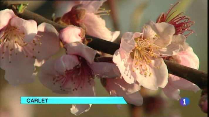 L'informatiu - Comunitat Valenciana - L'Informatiu - Comunitat Valenciana -  06/02/12