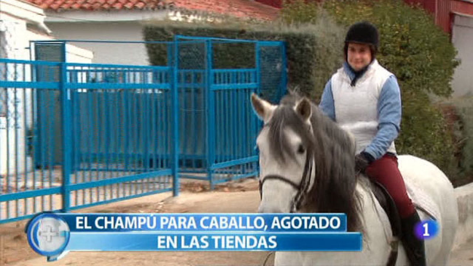 Un champú para caballos, un éxito de ventas