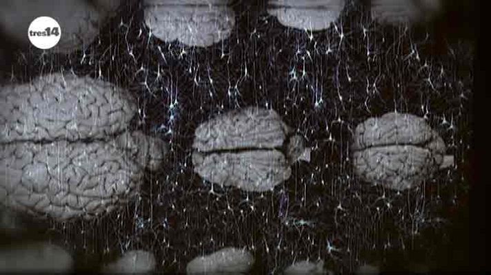 tres14 - Genios - avance