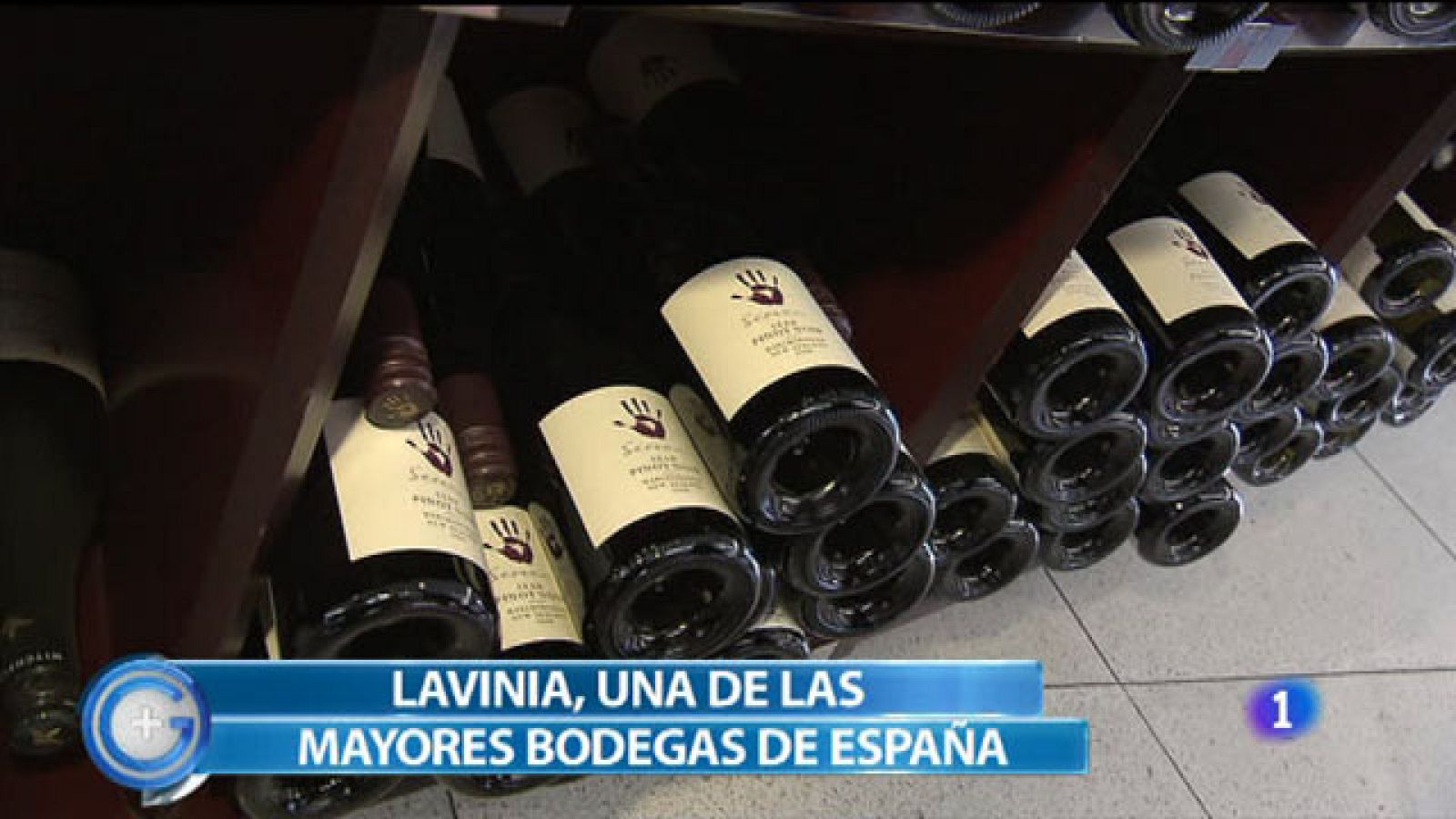 ¿Fino o manzanilla?