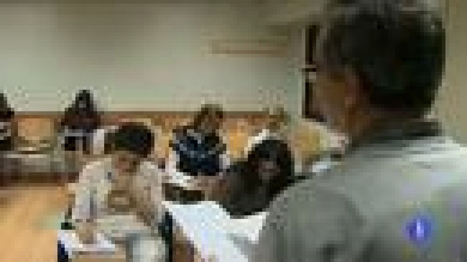 Educación cambia los temarios para las oposiciones a docente | Ver