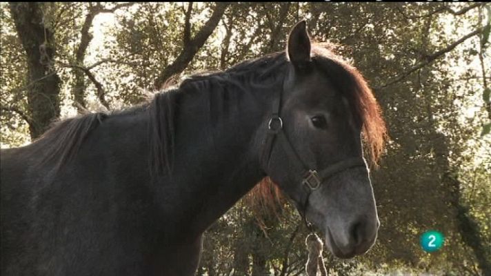 Biodiario - Biodiario - 08/02/12