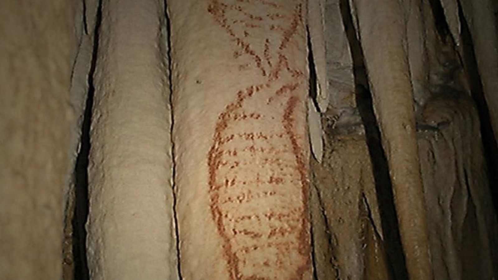 En las cuevas de Nerja se han descubierto unas pinturas