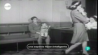 Una especie hiper-inteligente