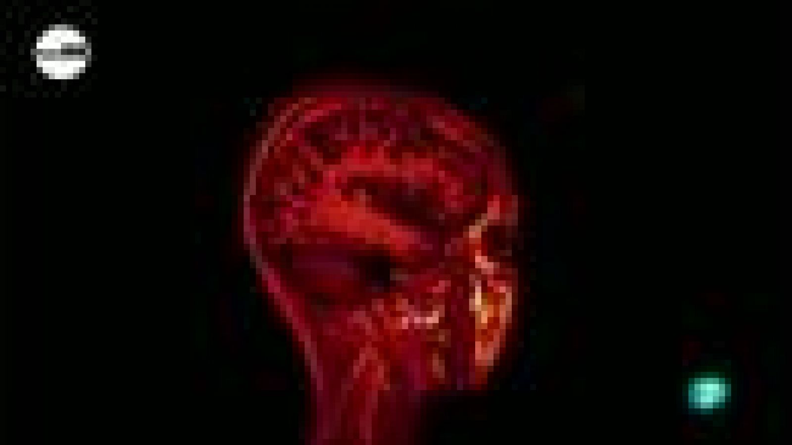 tres14 - Curiosidades científicas - Coeficiente intelectual