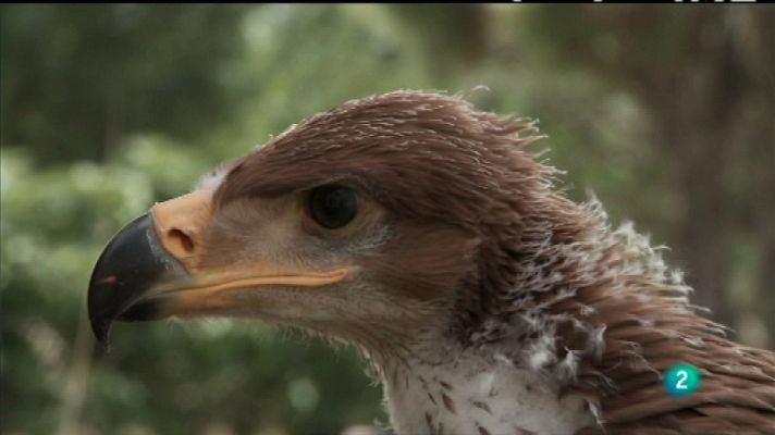 Biodiario - Biodiario - 09/02/12