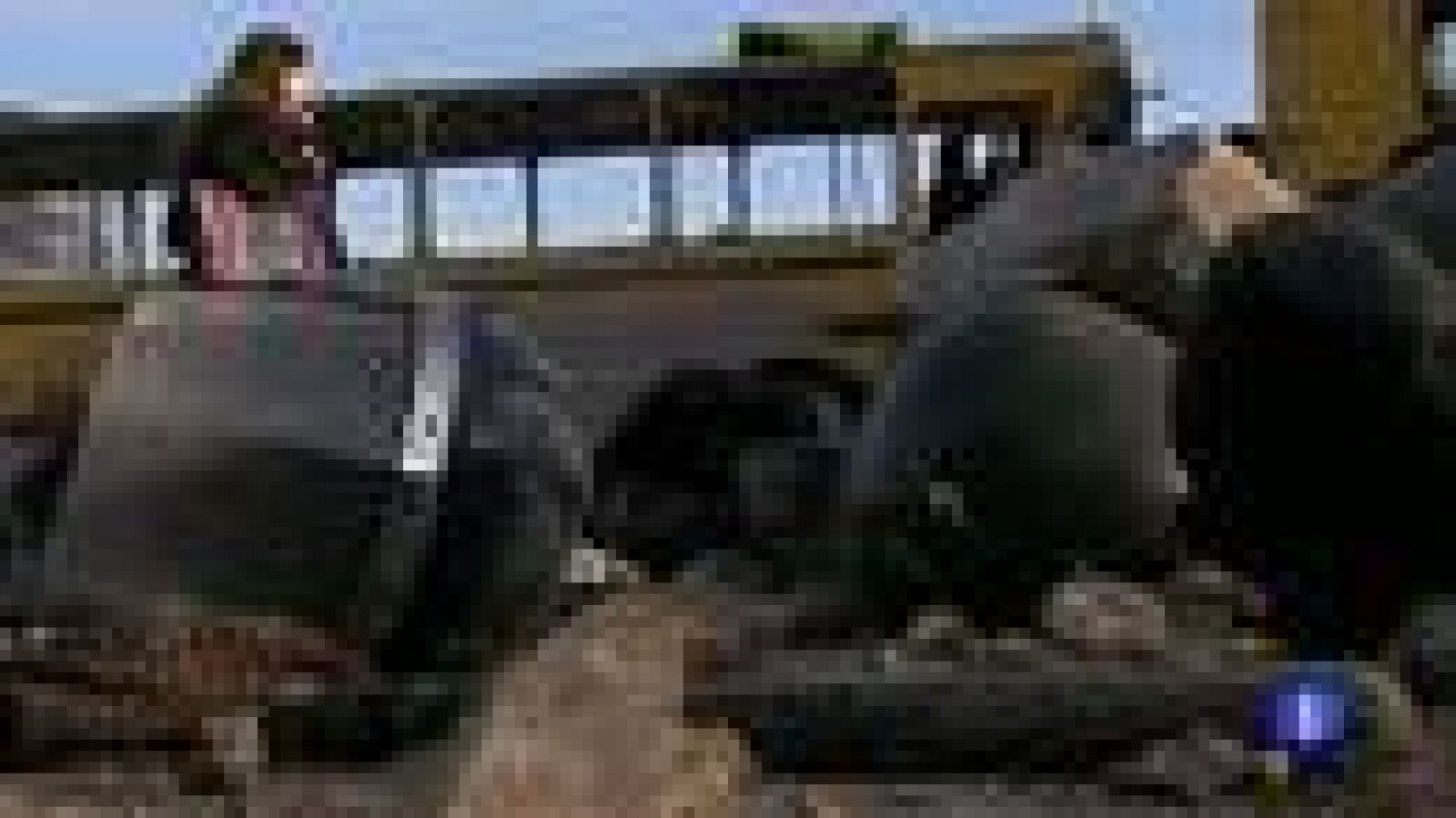 Crece la escalada de violencia en Siria, en las regiones de Homs y Alepo