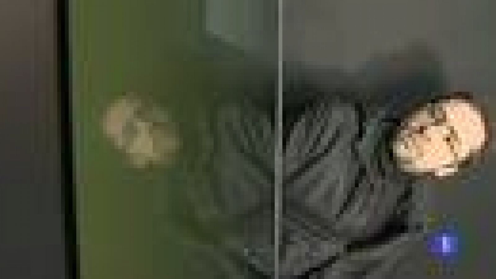 La feria Internacional de Arte Contemporáneo abrirá de nuevo en Madrid