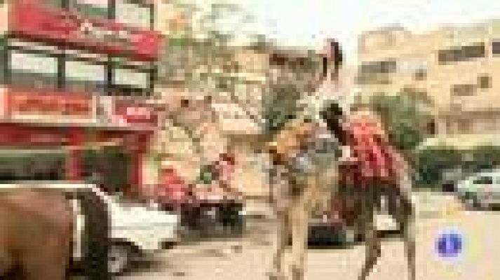 Telediario 1 - Turismo en Egipto