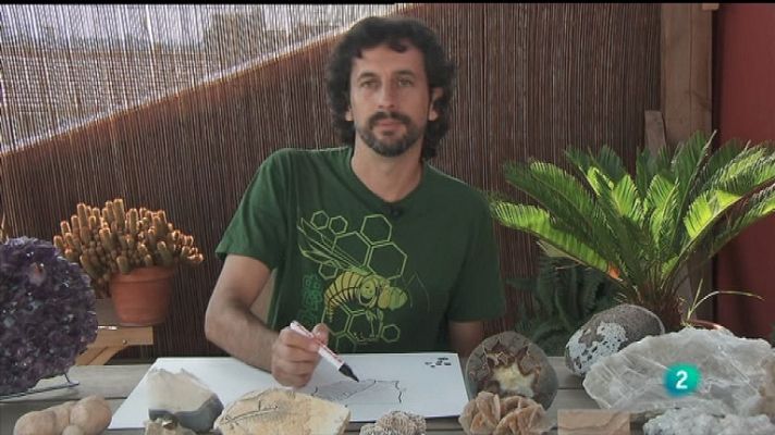 La aventura del Saber - La aventura del saber - 13/02/12