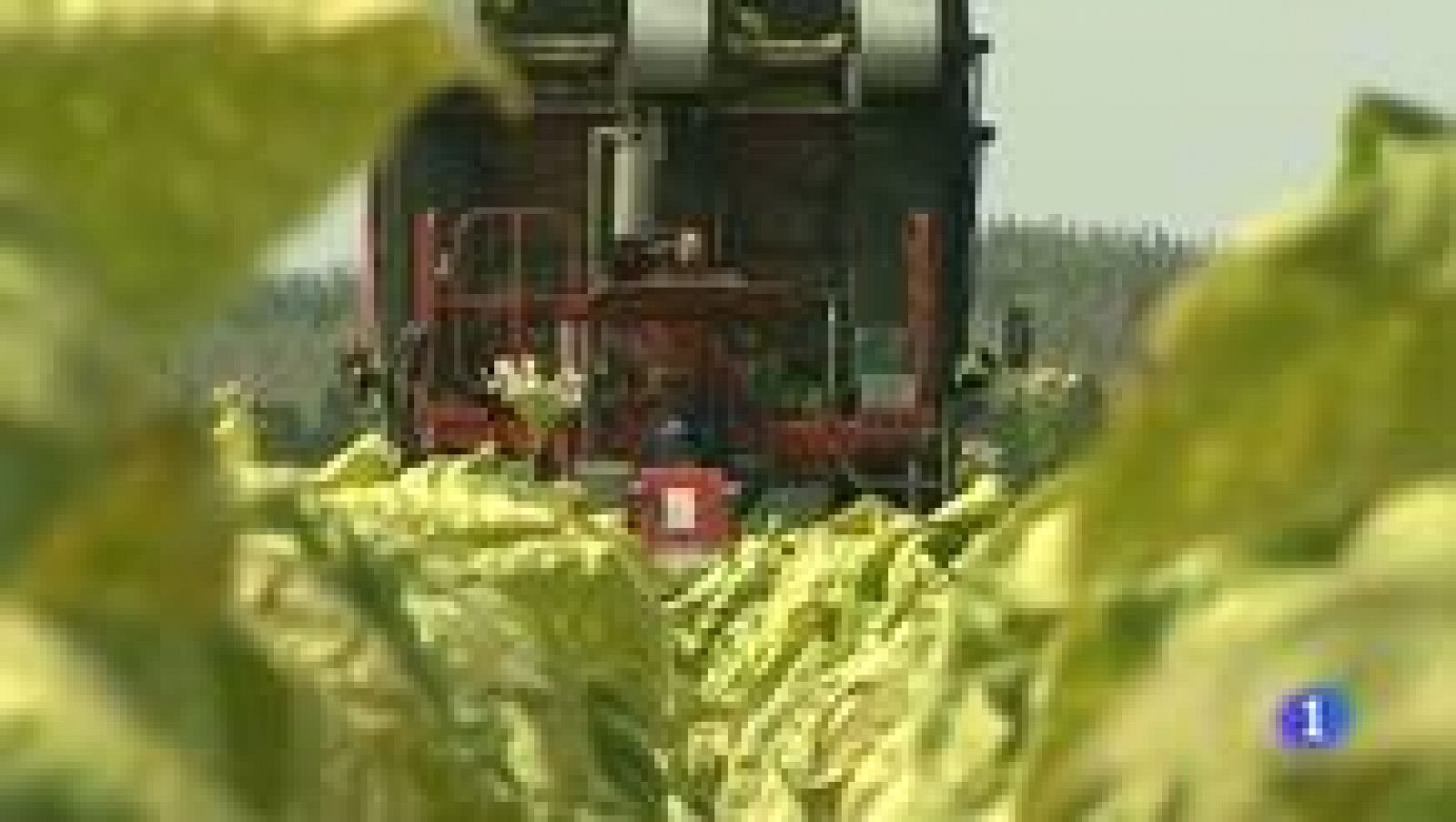 Extremadura en 2'- 14/02/12 | Ver