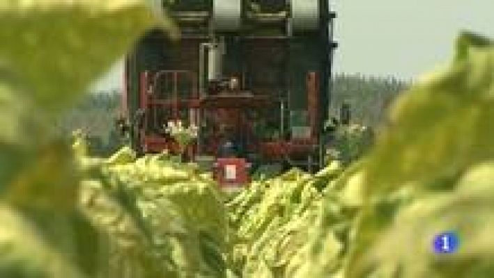 Noticias de Extremadura - Extremadura en 2'- 14/02/12