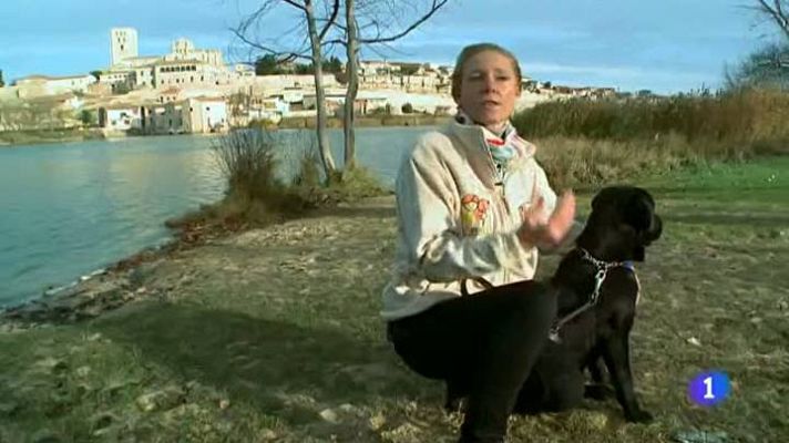 Destino: España - Castilla y León V - Jane