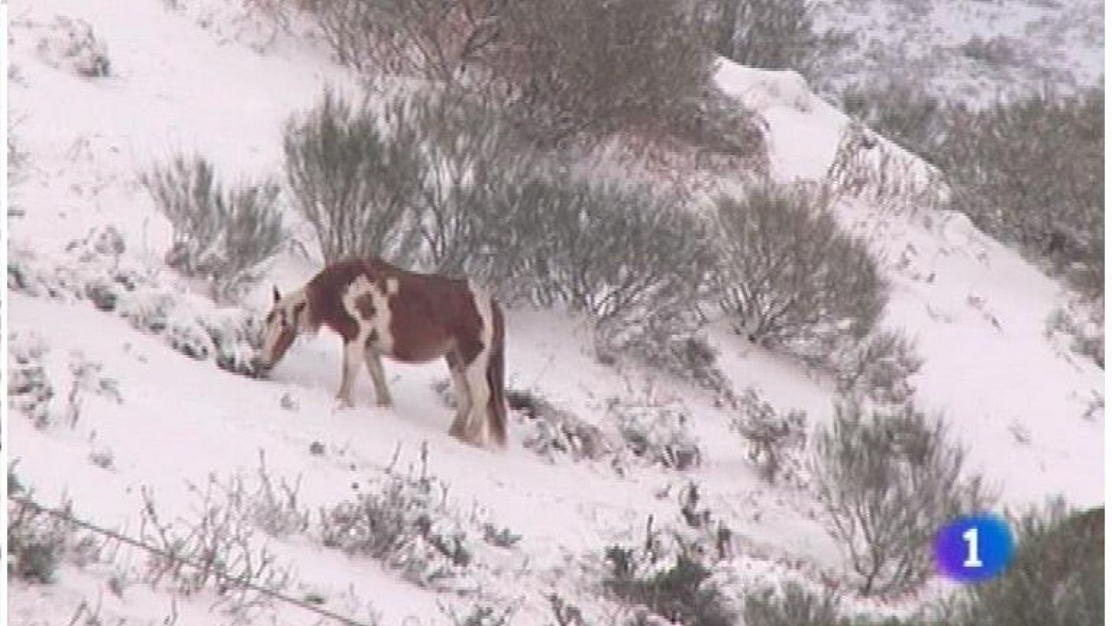 Panorama Regional: El tiempo en Asturias - 15/02/12 | RTVE Play