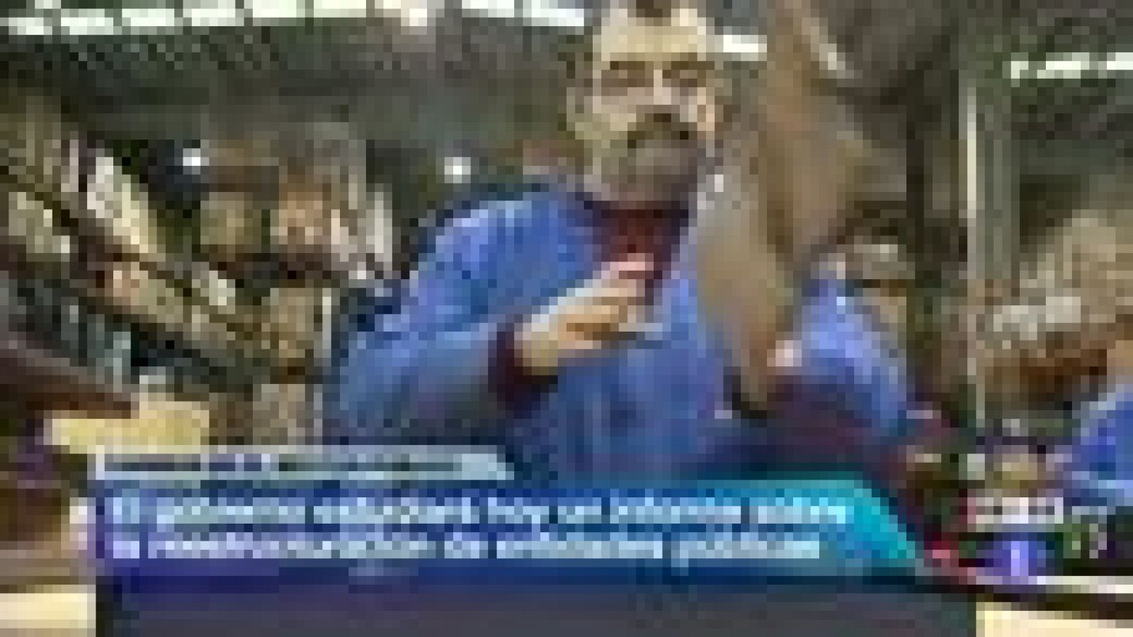 Telediario 1: Telediario Matinal en 4' - 17/02/12 | RTVE Play