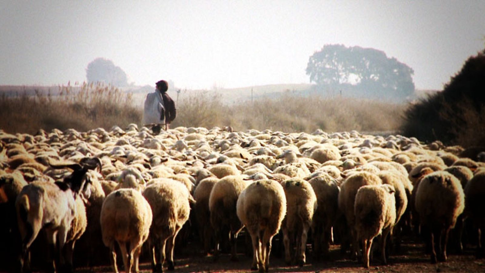 Destino:España - Aragón V - Avance | Ver