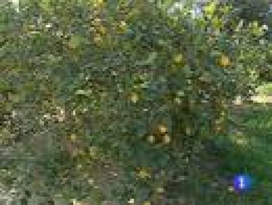 Noticias Murcia - La Región de Murcia en 2'. (17/02/2012).