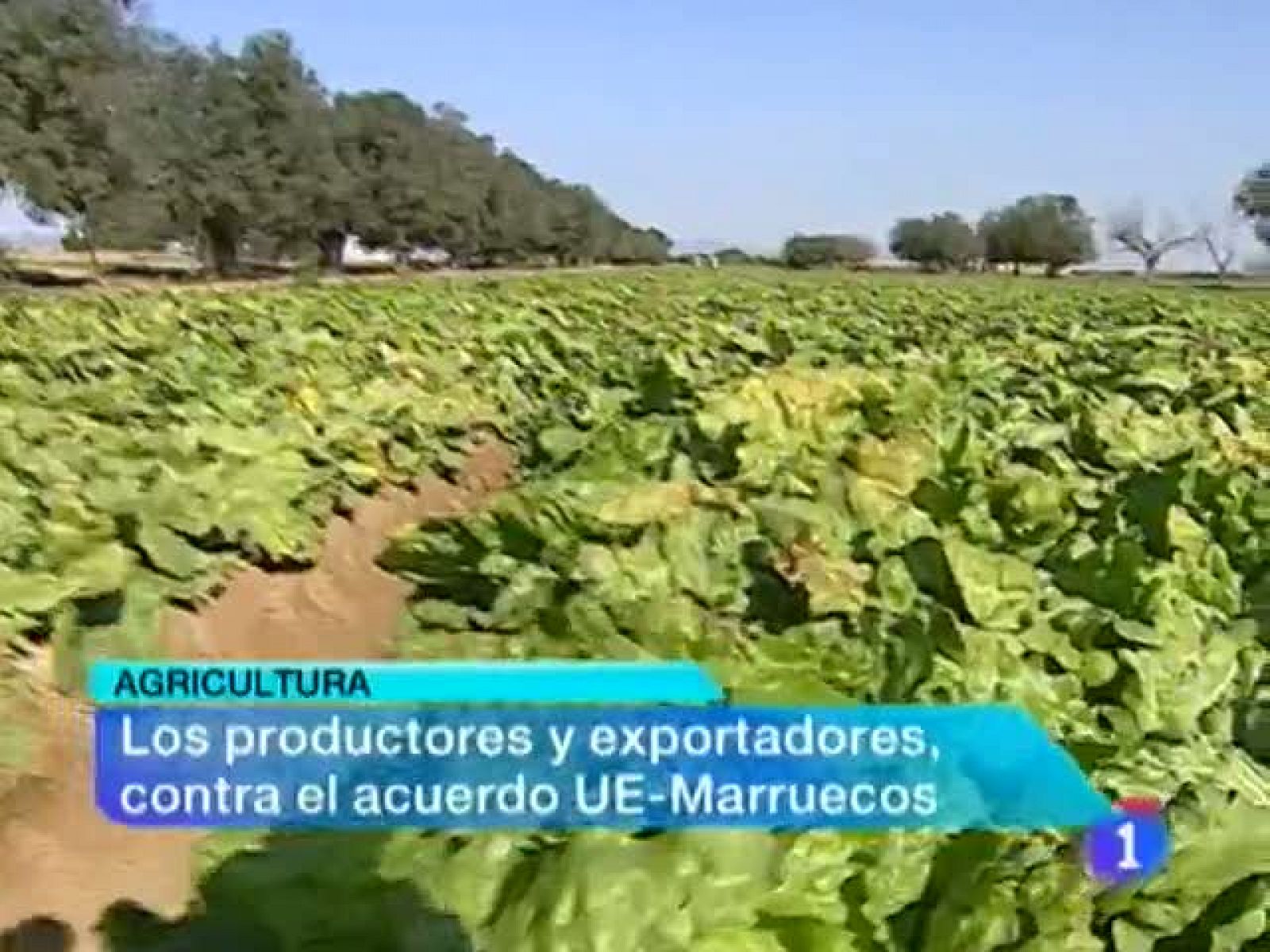 Noticias Murcia: Noticias Murcia. (17/02/2012). | RTVE Play