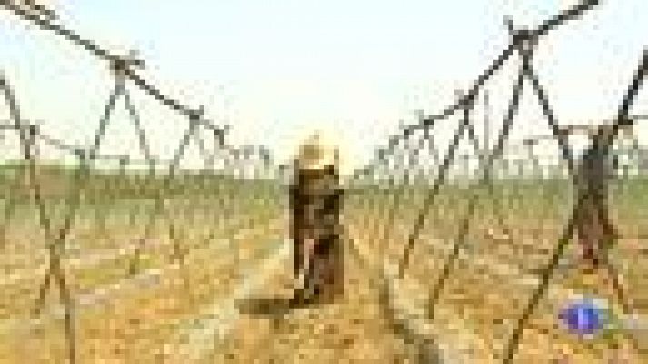 Telediario 1 - Acuerdo comercial Marruecos-UE