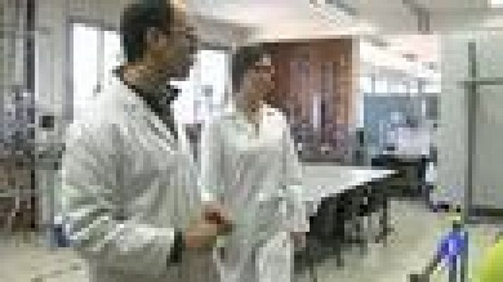 Telediario 1 - La formación se refuerza en la reforma laboral