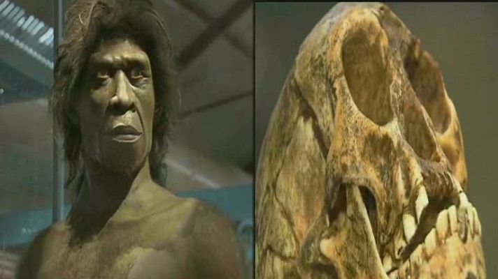 Los oficios de la cultura - Los oficios de la cultura - Avance:  Paleoantropólogo, Eudald Carbonell