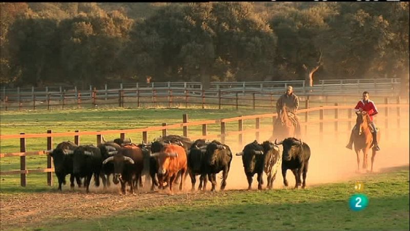 Tendido cero - 18/02/12 - Ver ahora