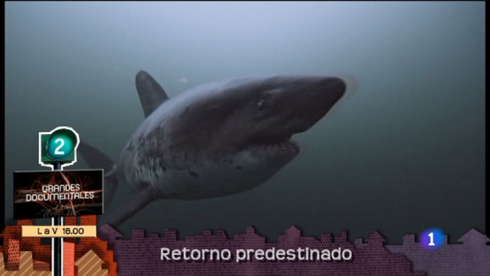 Lo que hay que ver - 19/02/12 - Ver ahora