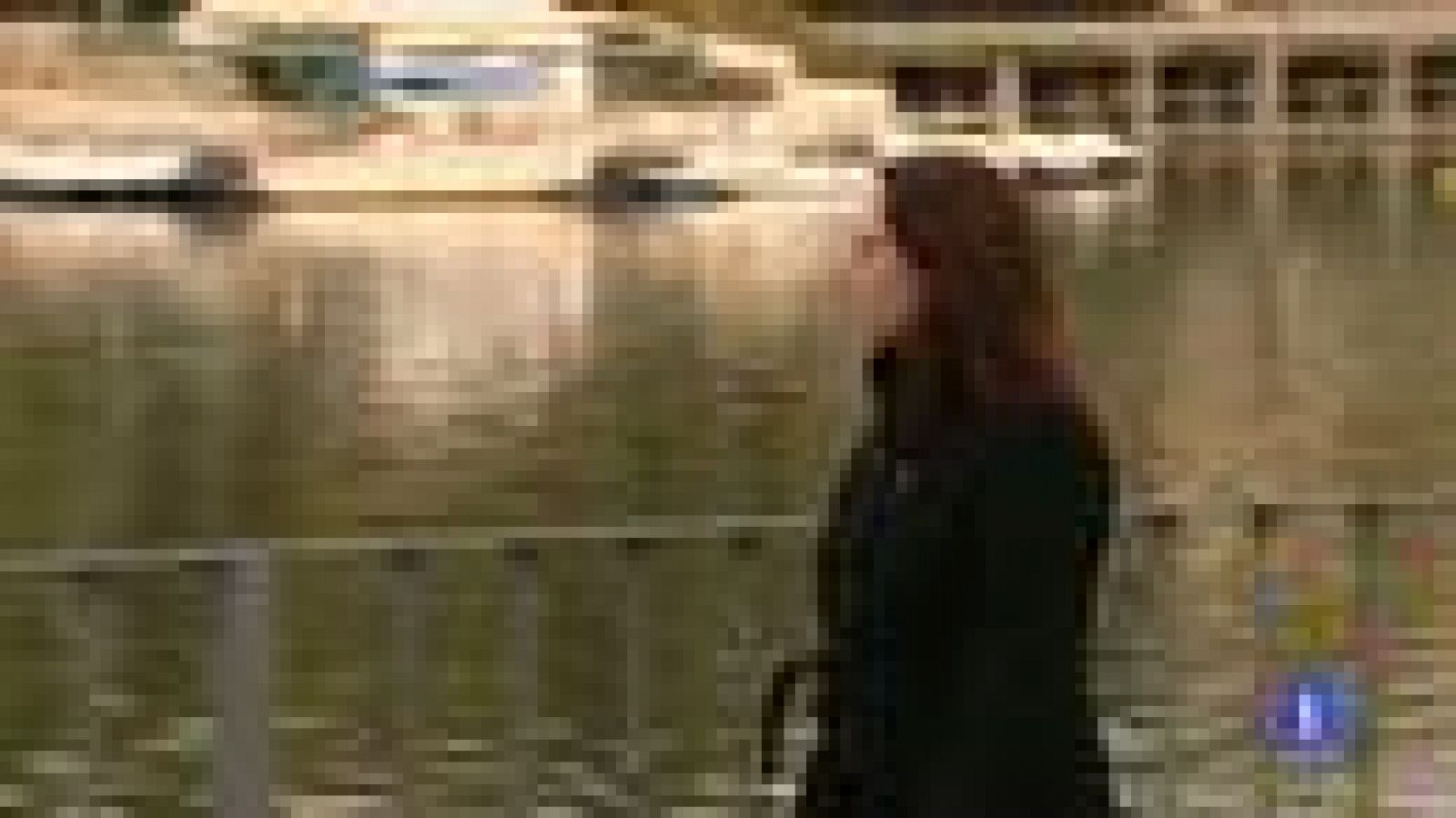 Víctimas supervivientes de la violencia de género ayudan a otras mujeres a salir adelante