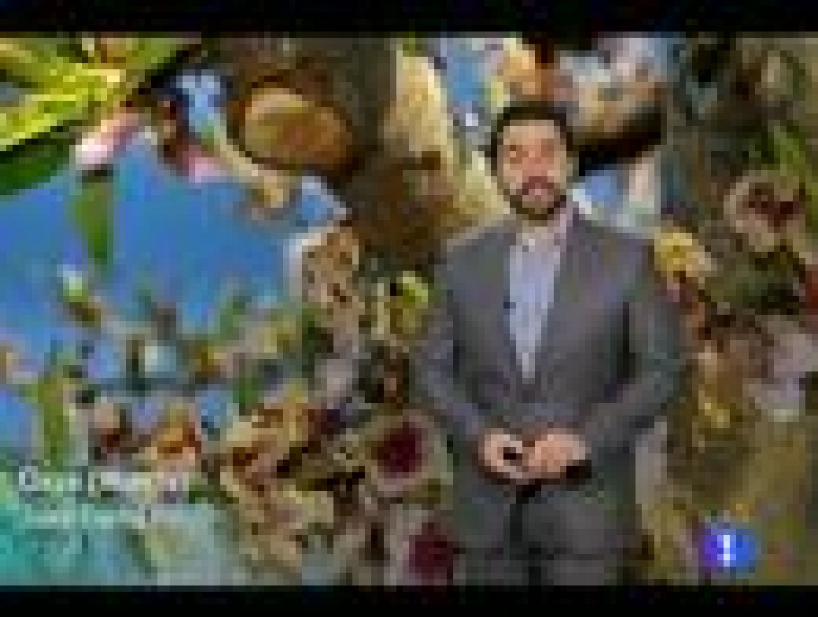 Noticias Murcia: El tiempo en la Región de Murcia.(20/02/2012). | RTVE Play