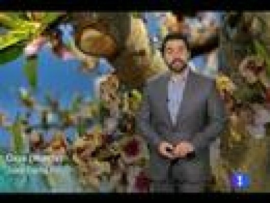 Noticias Murcia - El tiempo en la Región de Murcia.(20/02/2012).