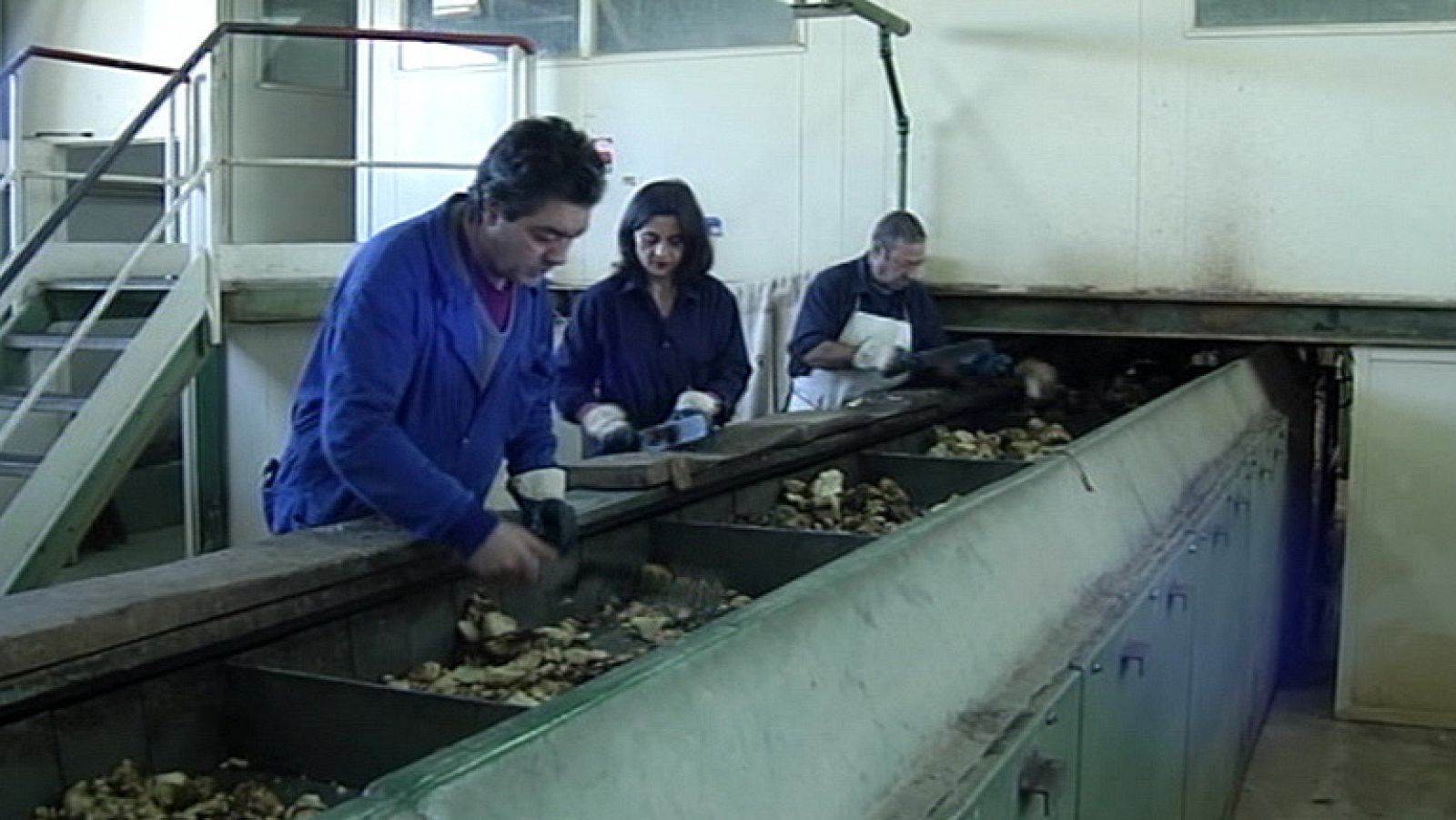 Una mujer tiene que trabajar 80 días más para conseguir el mismo sueldo anual que un hombre