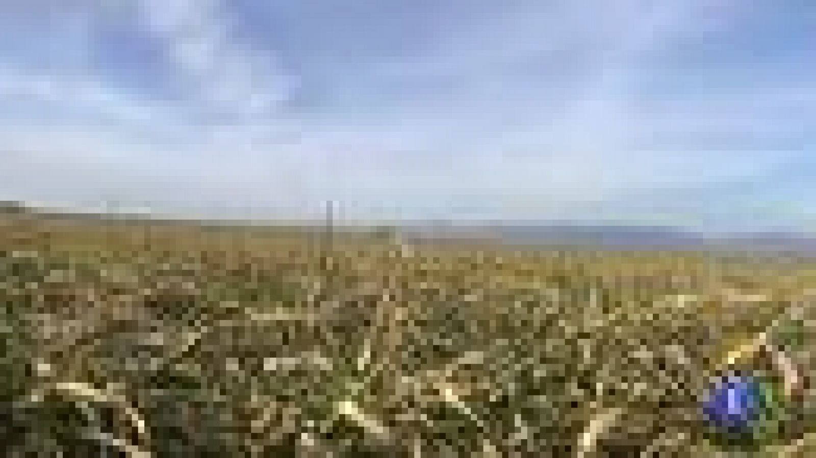 El campo se resiente de las heladas y la sequía de febrero