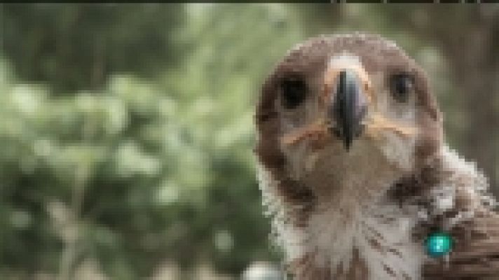 Biodiario - Biodiario - 22/02/12