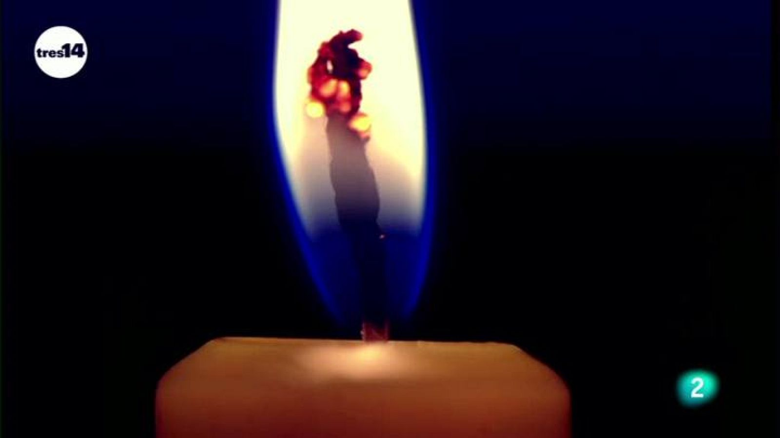 tres14 - Curiosidades científicas - La intuición propicia la fe religiosa