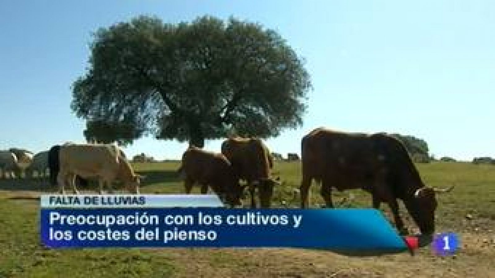 Extremadura en 2'- 23/02/12 | Ver