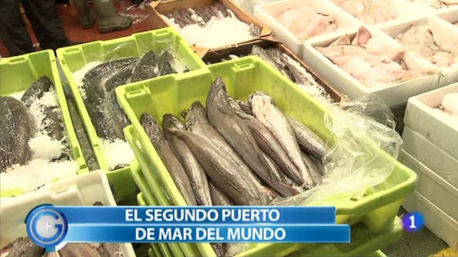 +Gente: Mercamadrid, puerto pesquero | RTVE Play
