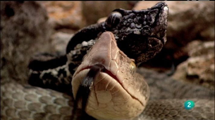 Biodiario - Biodiario - 23/02/12