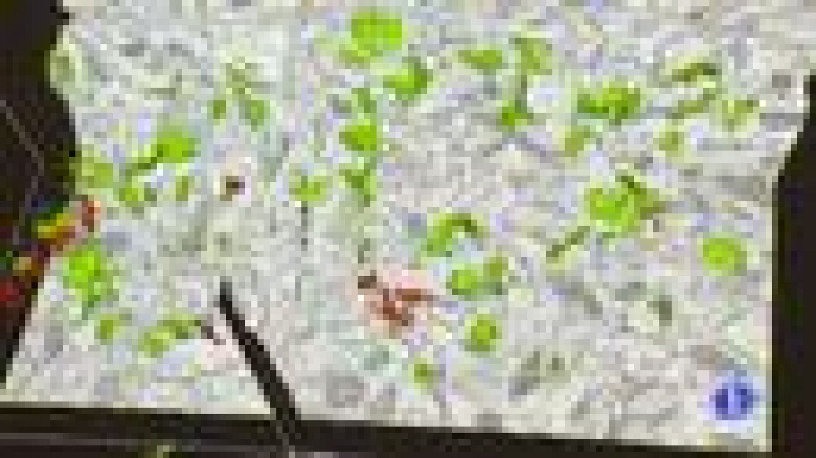 Científicos españoles trabajan por crear un mapa del cerebro en tres dimensiones