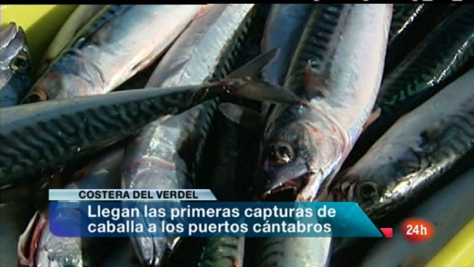 España en 24 horas - 24/02/12 - Ver ahora