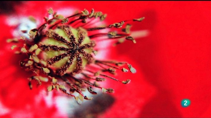 Jara y sedal - Luz y naturaleza