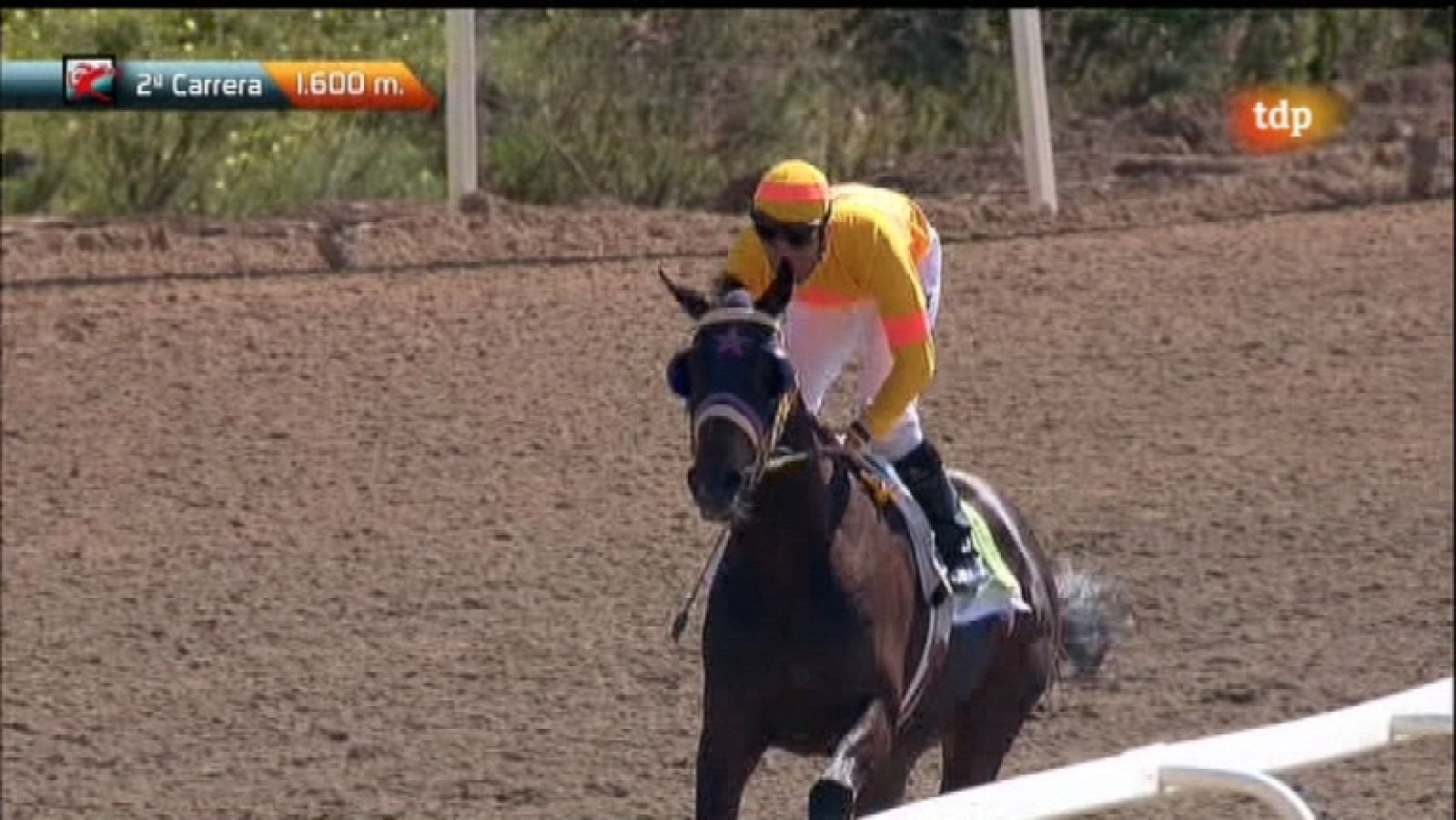 Turf - Carreras de caballos - Ver ahora