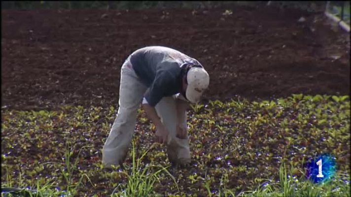 Telecanarias - Telecanarias - 27/02/2012