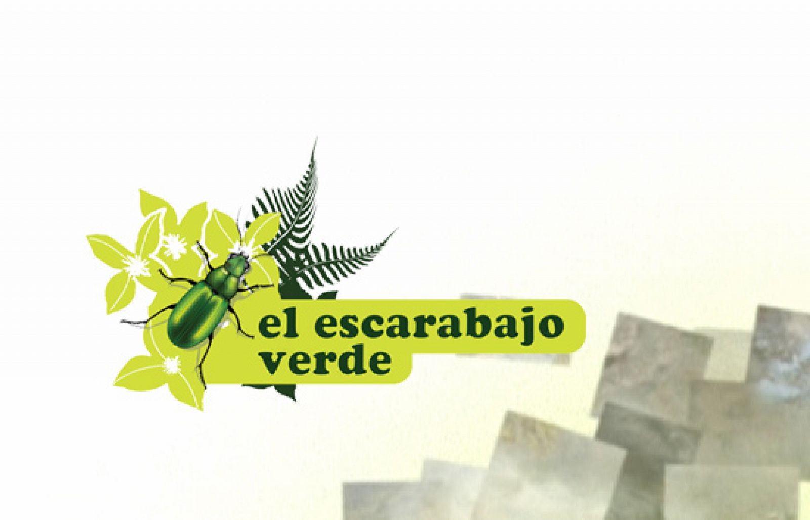 El escarabajo verde: Me llamo Río | RTVE Play