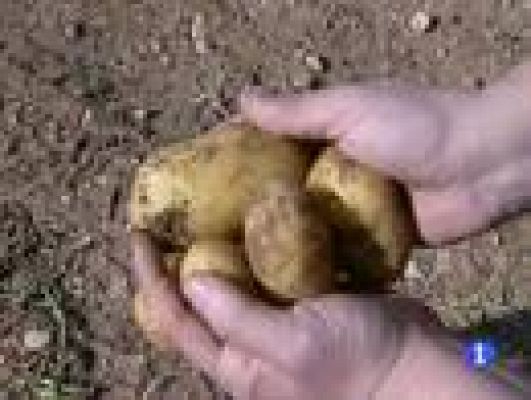 Informatiu Balear - Informatiu Balear en 2' - 28/02/12