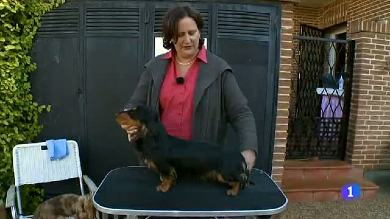 Destino:España - Comunidad Valenciana VII - Lili