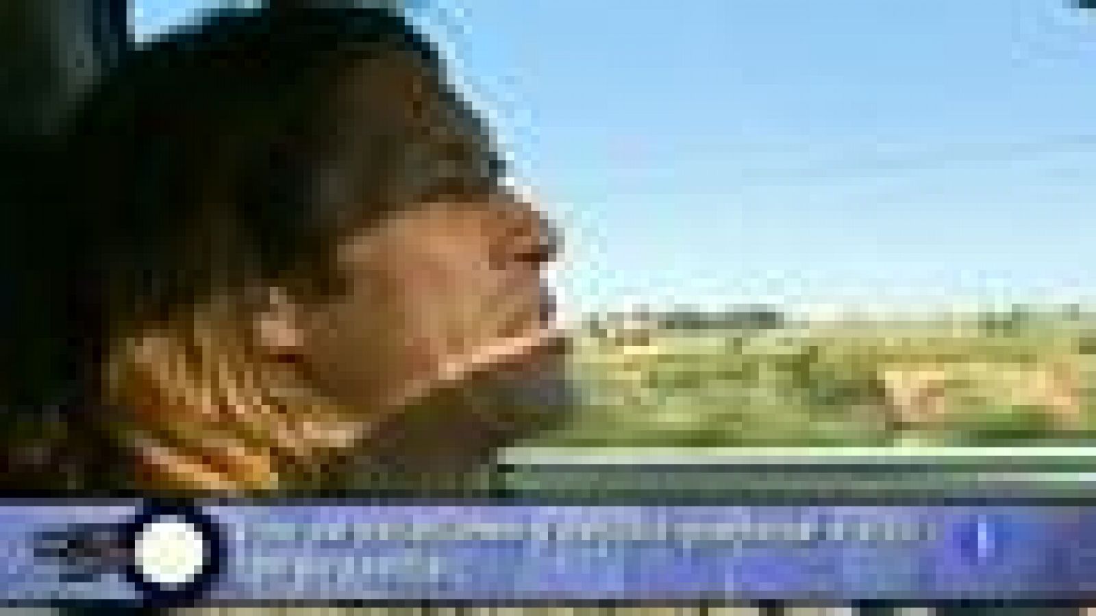 Destino:España - Comunidad Valenciana VII - Pedro | Ver