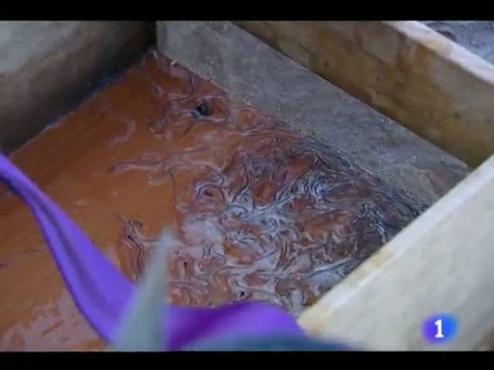 Telecantabria - 29/02/12