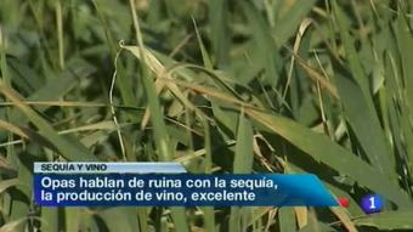 Noticias de Extremadura: Noticias de Extremadura - 01/03/12 | RTVE Play